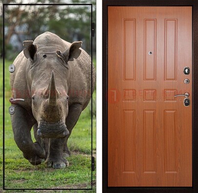 Металлическая дверь с фотопечатью носорога ДФ-31 в Кубинке